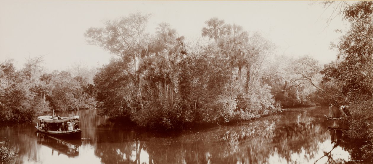 En el Tomoka, cerca de Ormond, Florida de William Henry Jackson