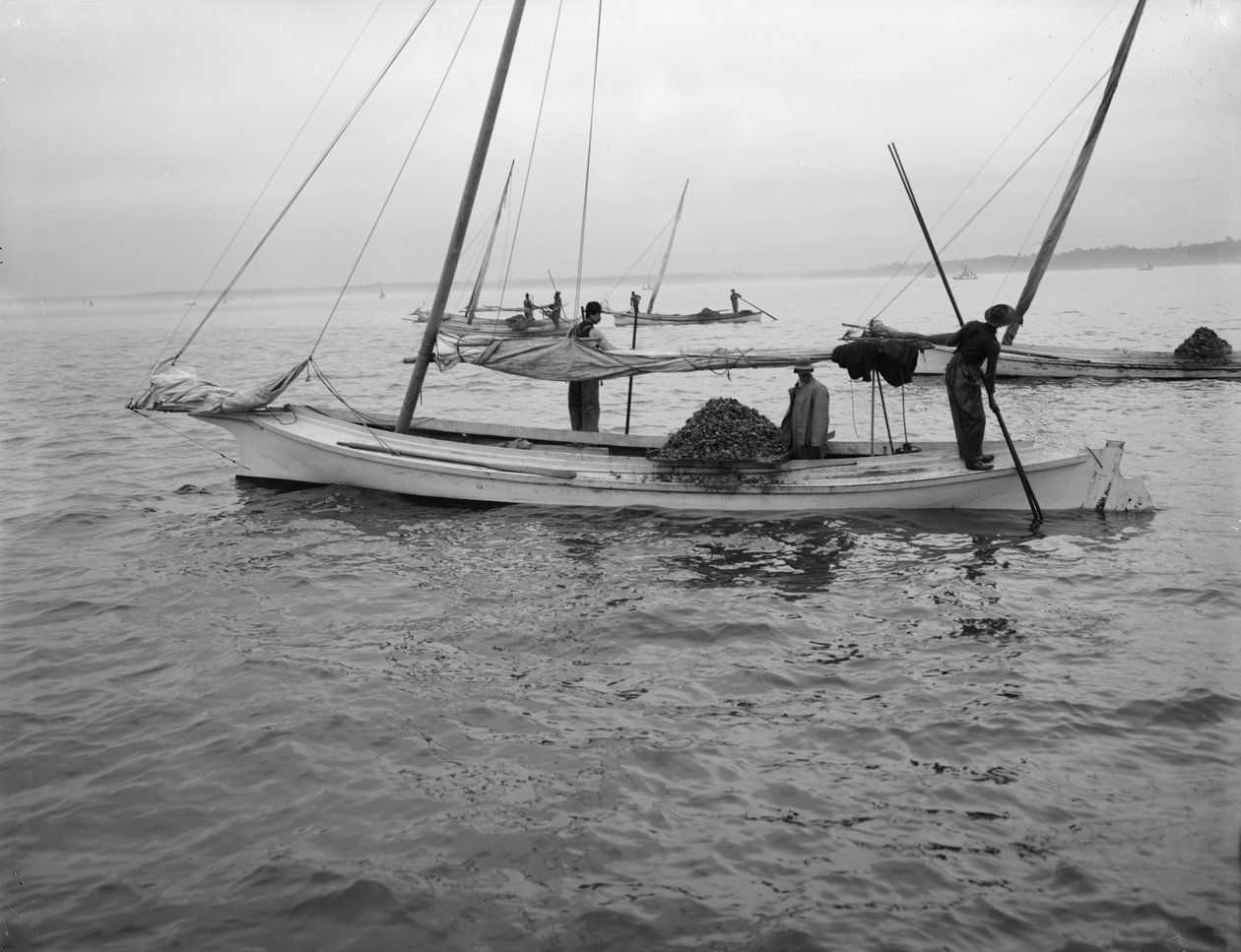 Dredging de ostras, c.1890-1910 de William Henry Jackson