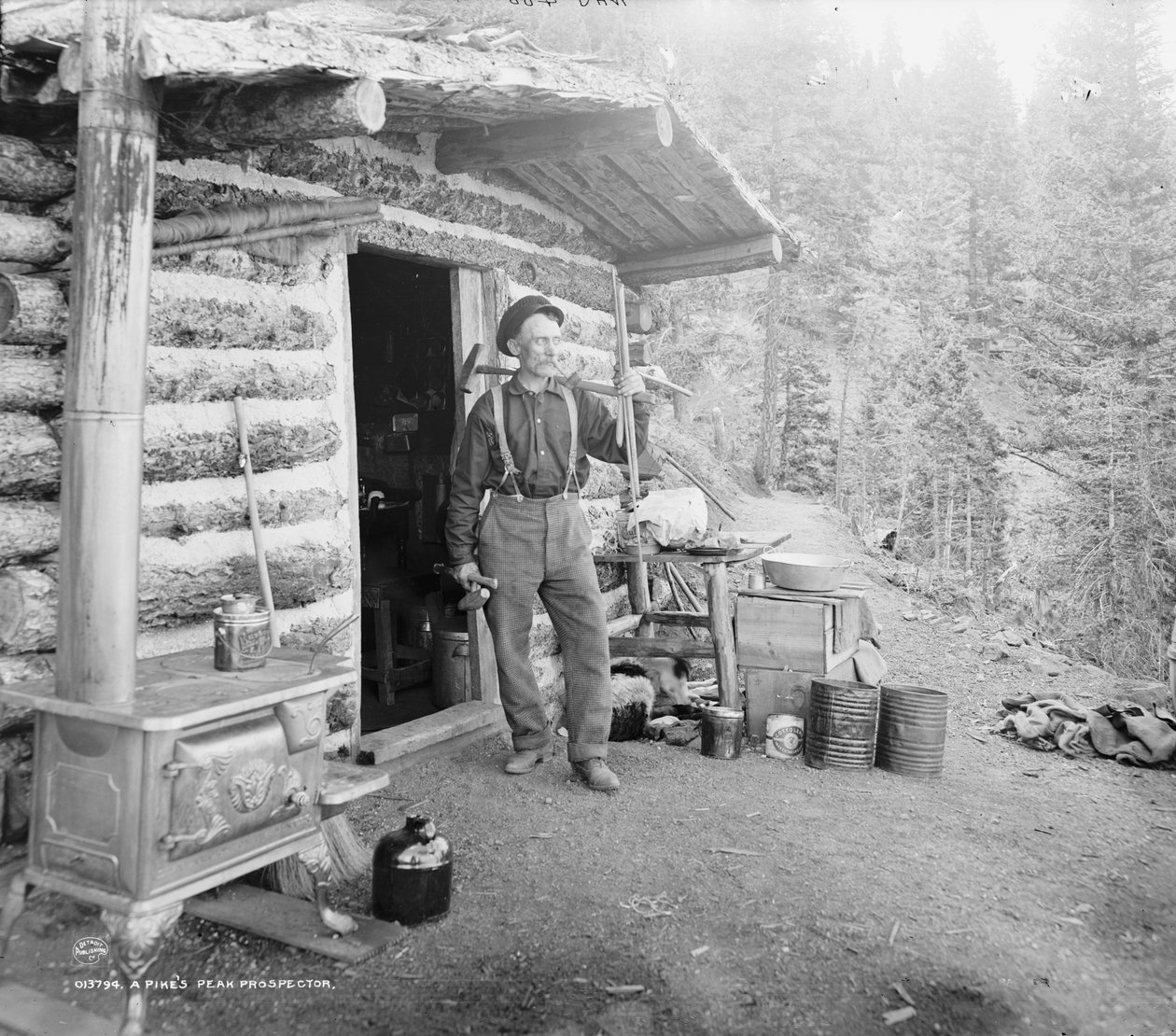 Prospector de Pike