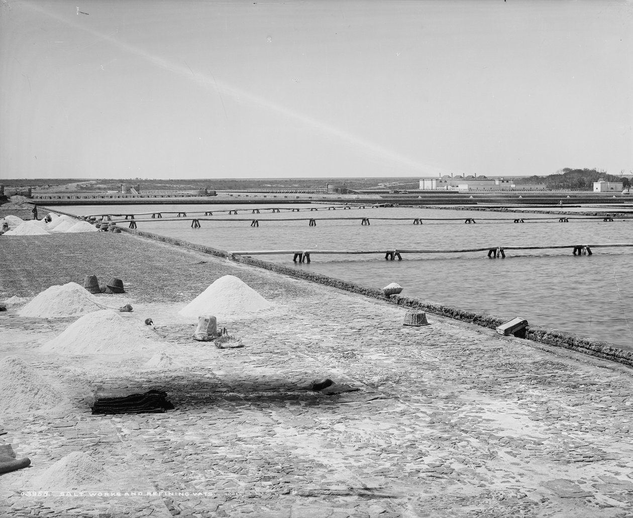Salinas y cubas de refinación, México, c.1880-97 de William Henry Jackson