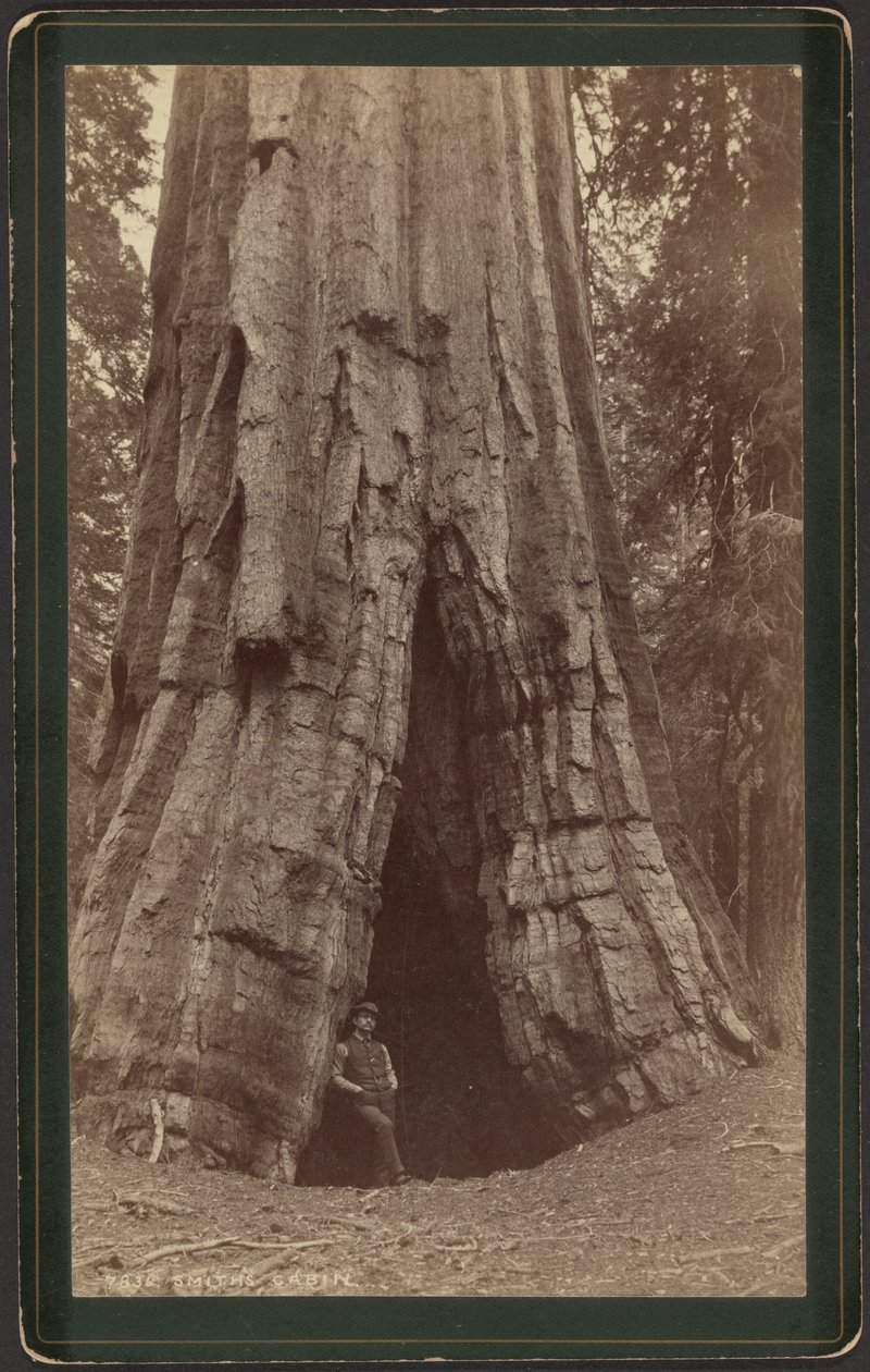 Cabaña Smiths de William Henry Jackson