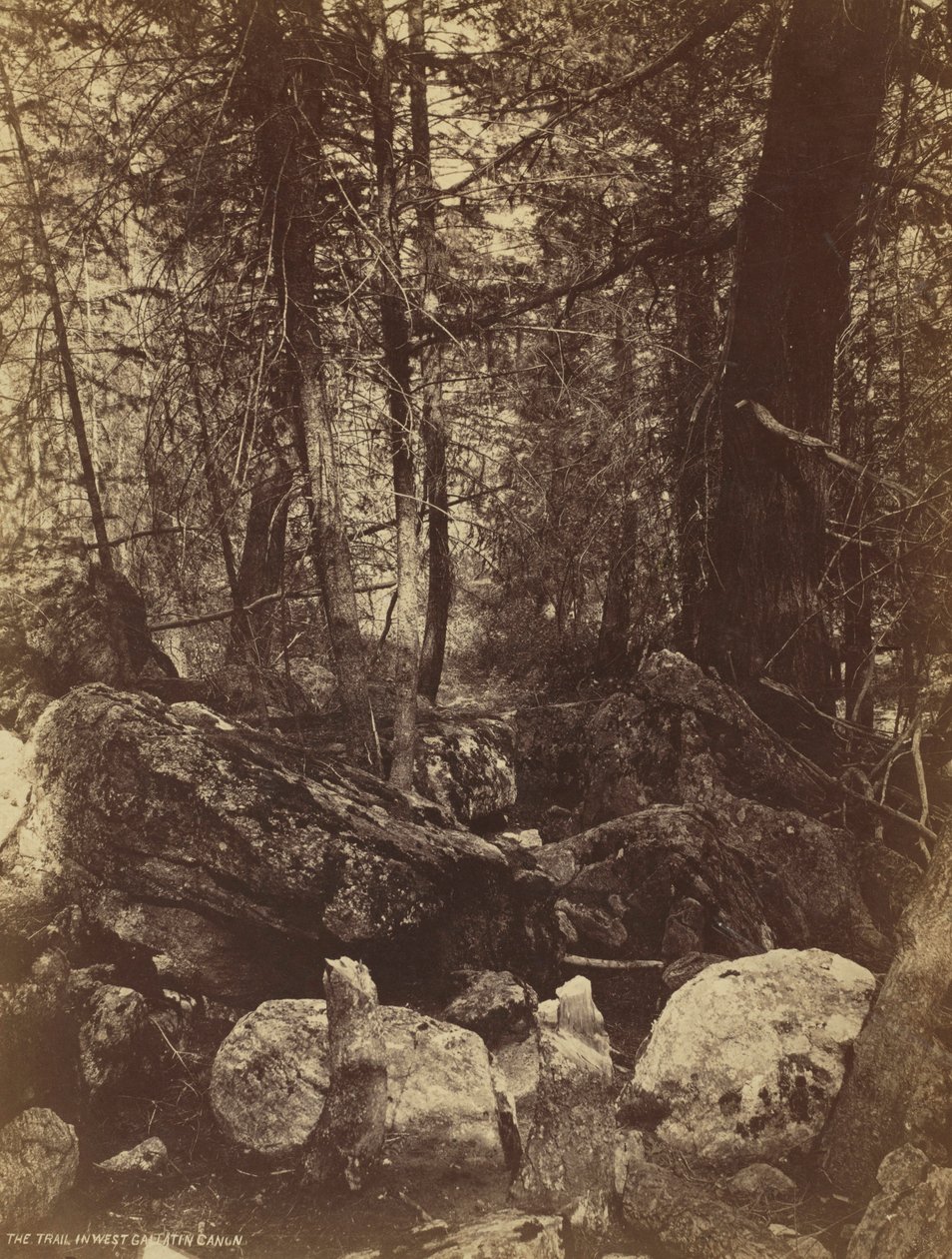 El sendero en el Cañón West Gallatin, c. 1870s de William Henry Jackson