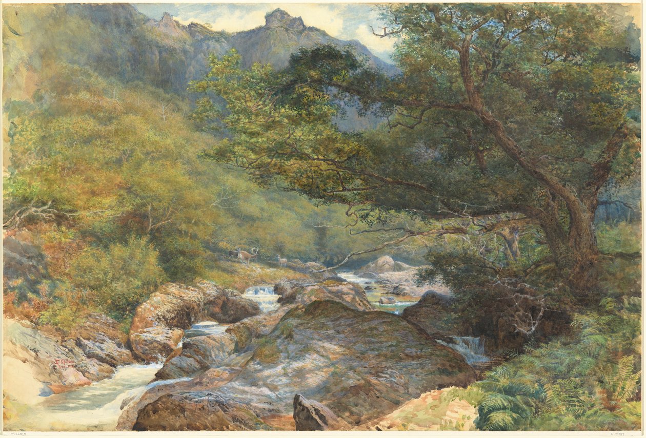 En el East Lyn, North Devon de William Henry Millais
