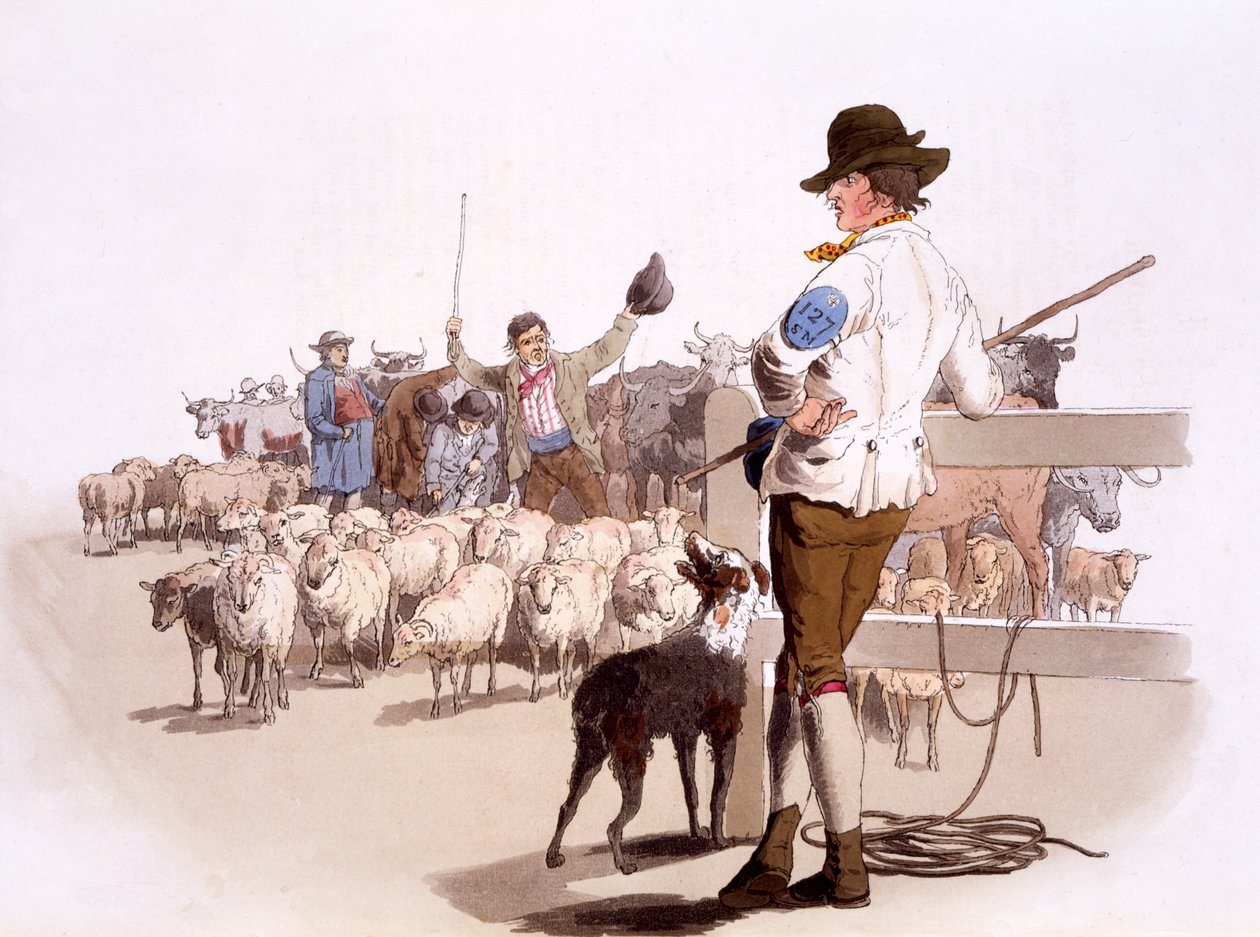 Pastores de ovejas y ganado, de Los Trajes de Gran Bretaña, pub. Por Henry Miller, 1805 (impresión coloreada a mano) de William Henry Pyne