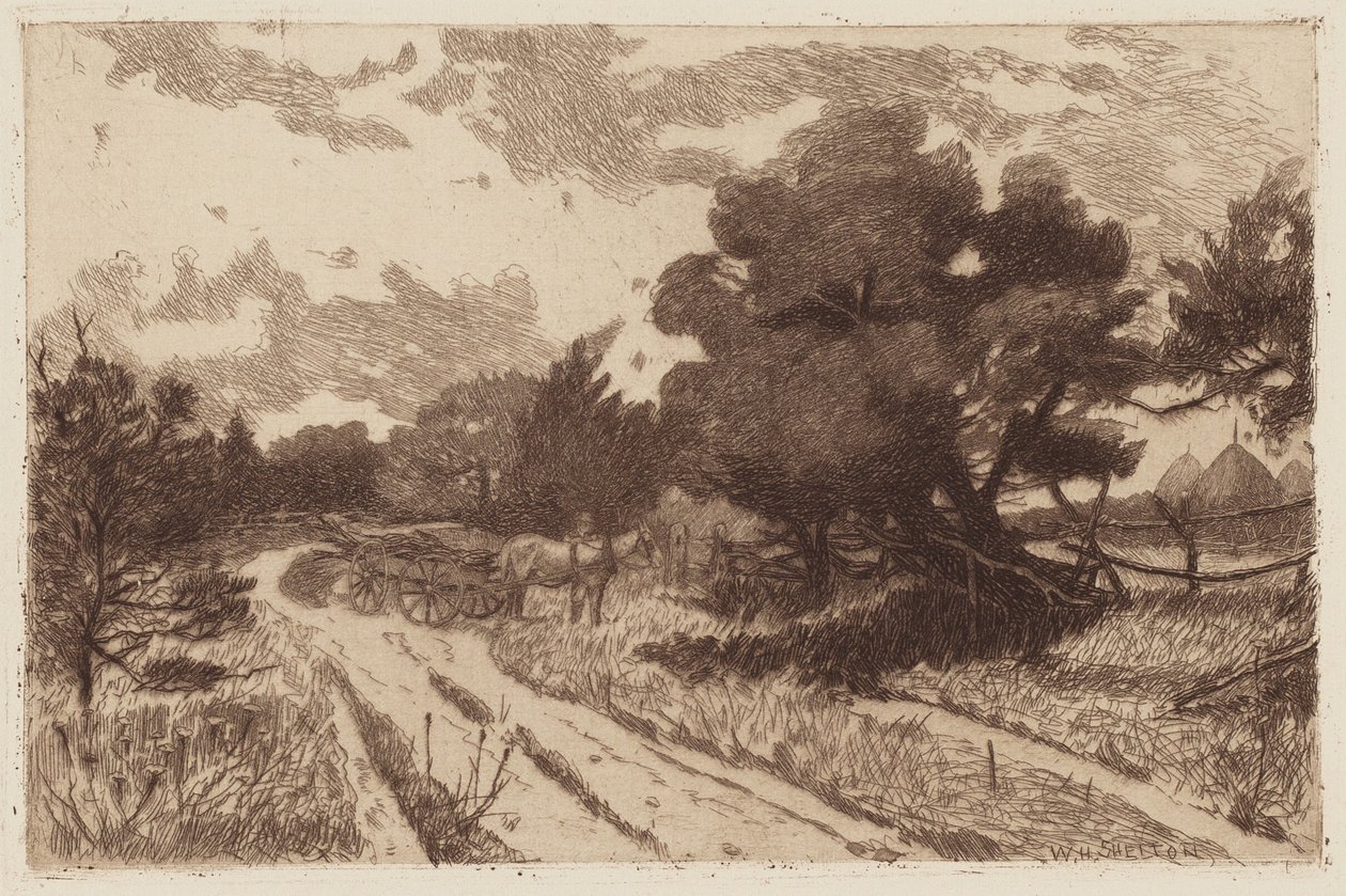 Un camino de Long Island de William Henry Shelton
