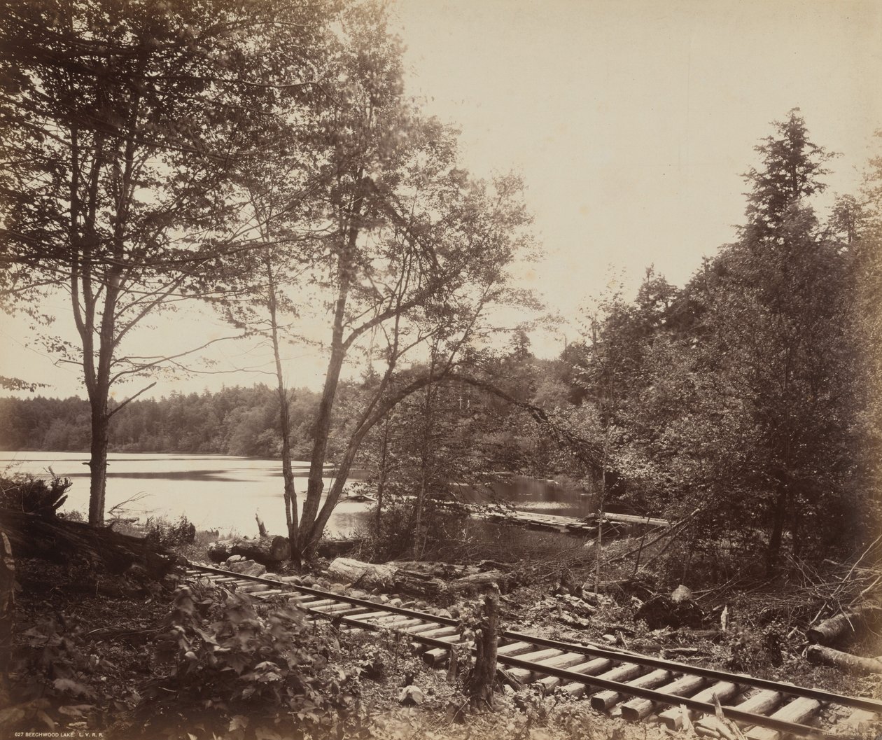 Lago Beechwood,c. 1895 (foto) de William Herman Rau