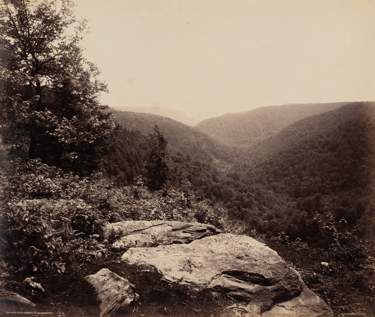 Vista del acantilado, Cumbre de los Alleghenies,c. 1895 (foto) de William Herman Rau