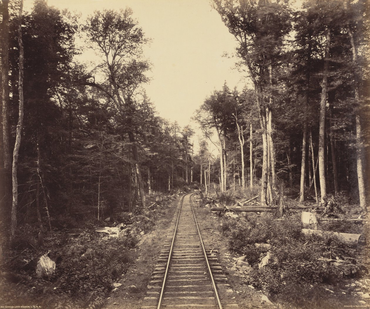 Ganoga Lake Branch,c. 1895 (foto) de William Herman Rau