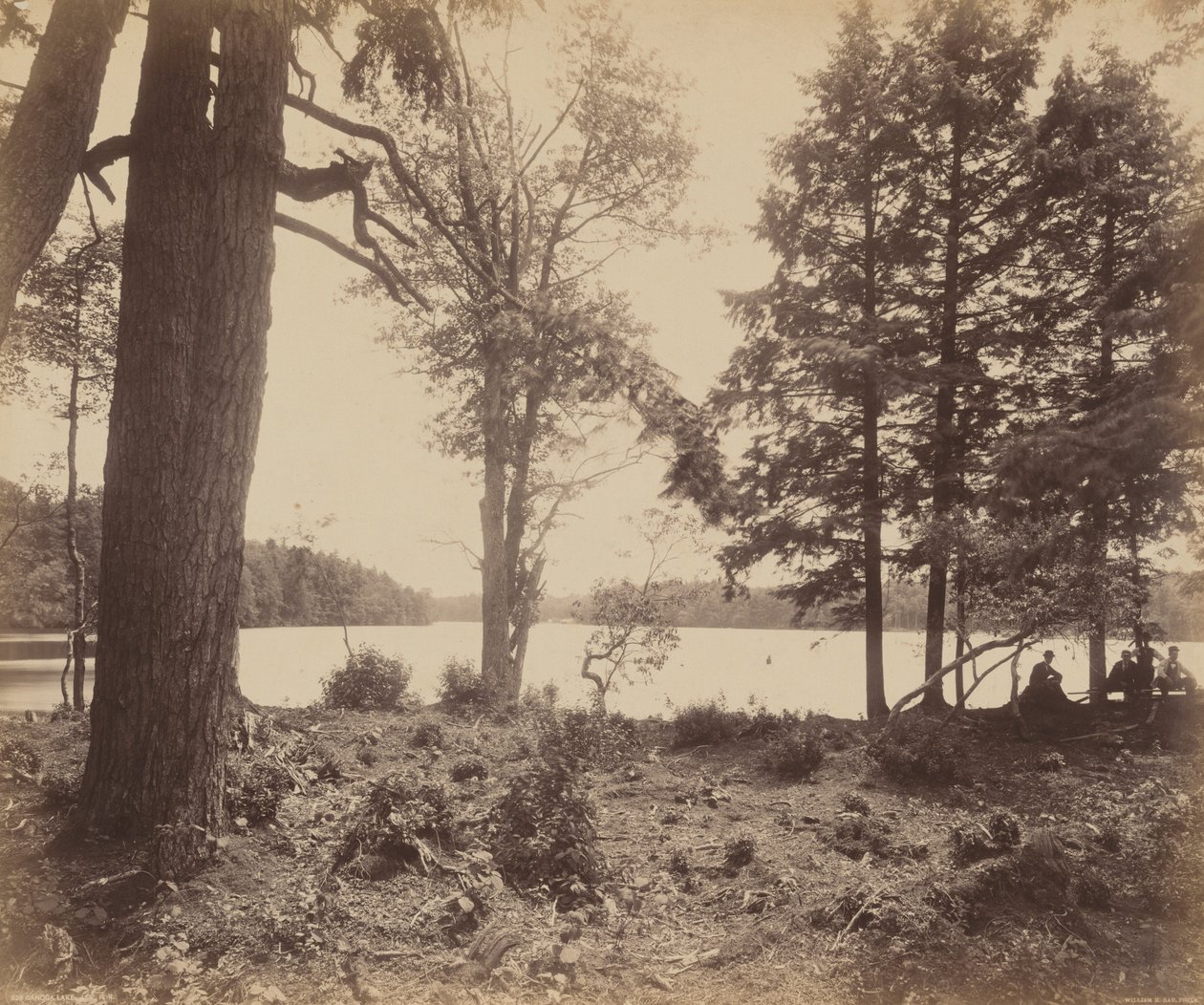 Lago Ganoga,c. 1895 (foto) de William Herman Rau