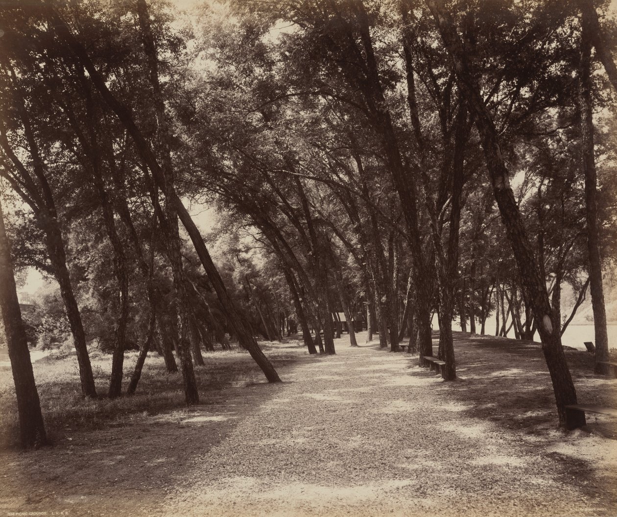 Campo de picnic,c. 1895 (foto) de William Herman Rau