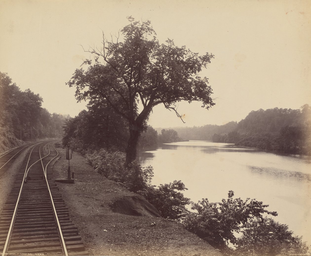 El Lehigh, en Turkey Run,c. 1895 (foto) de William Herman Rau