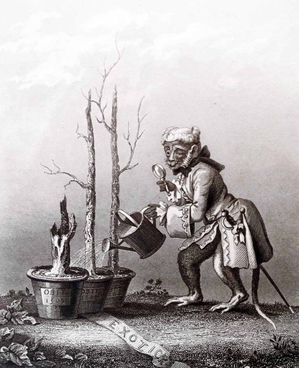 Pieza de cola del catálogo de artistas de William Hogarth