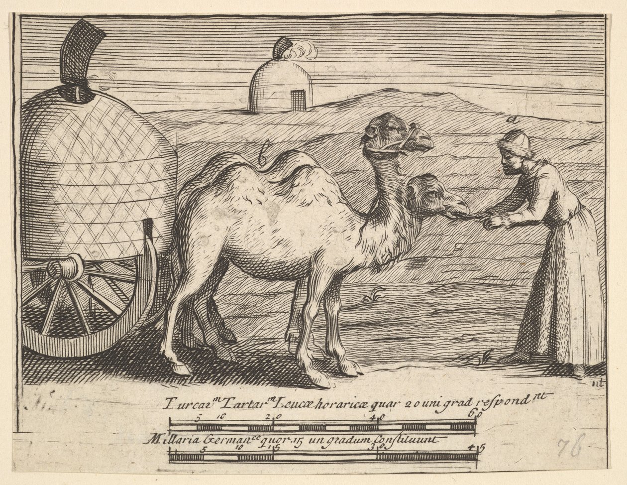 Dos Dromedarios Aubry de La Mottrayes Viajes por Europa, Asia y en Parte de William Hogarth