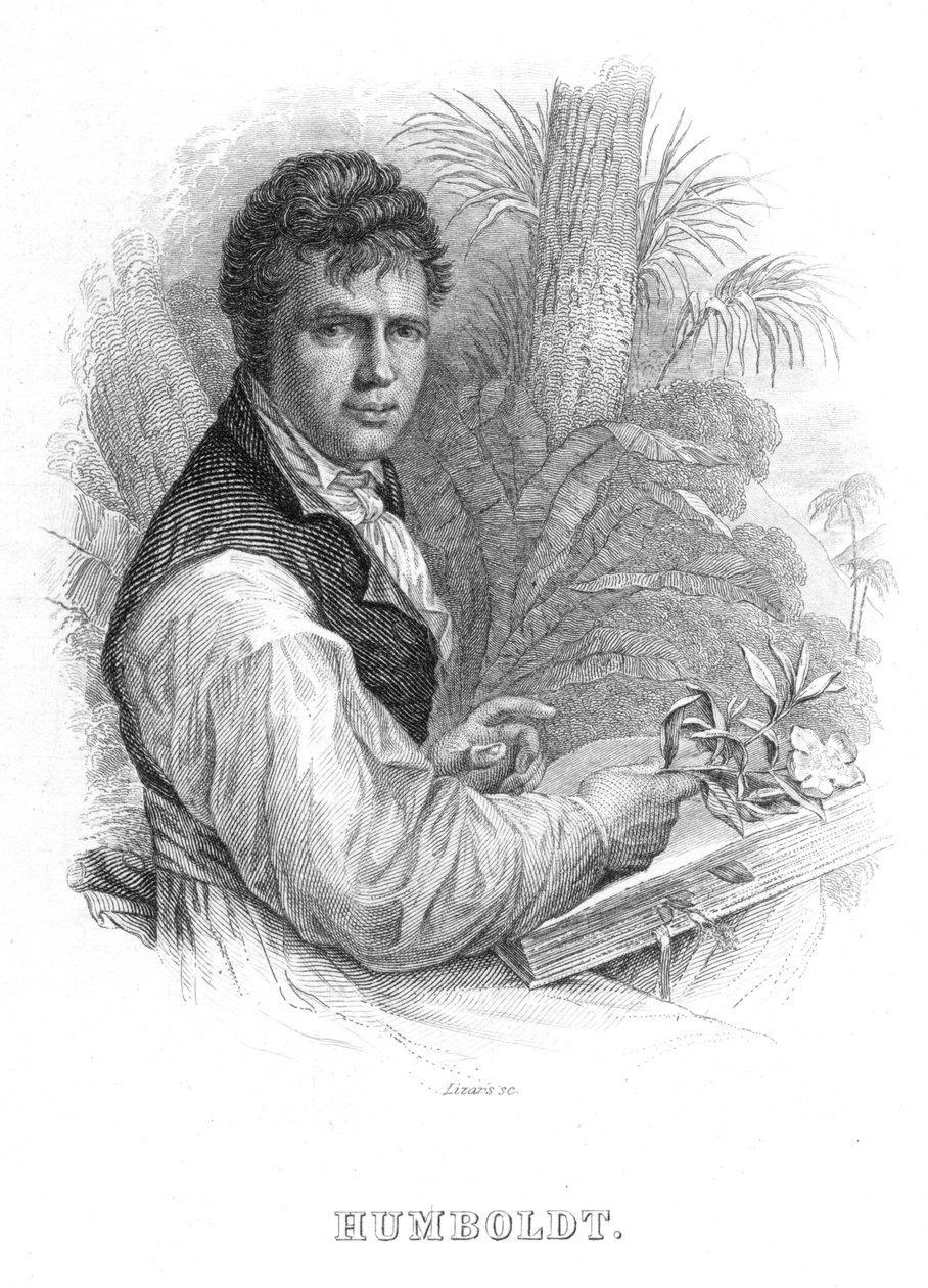 Alexander von Humboldt, naturalista alemán, c. 1830 de William Home Lizars