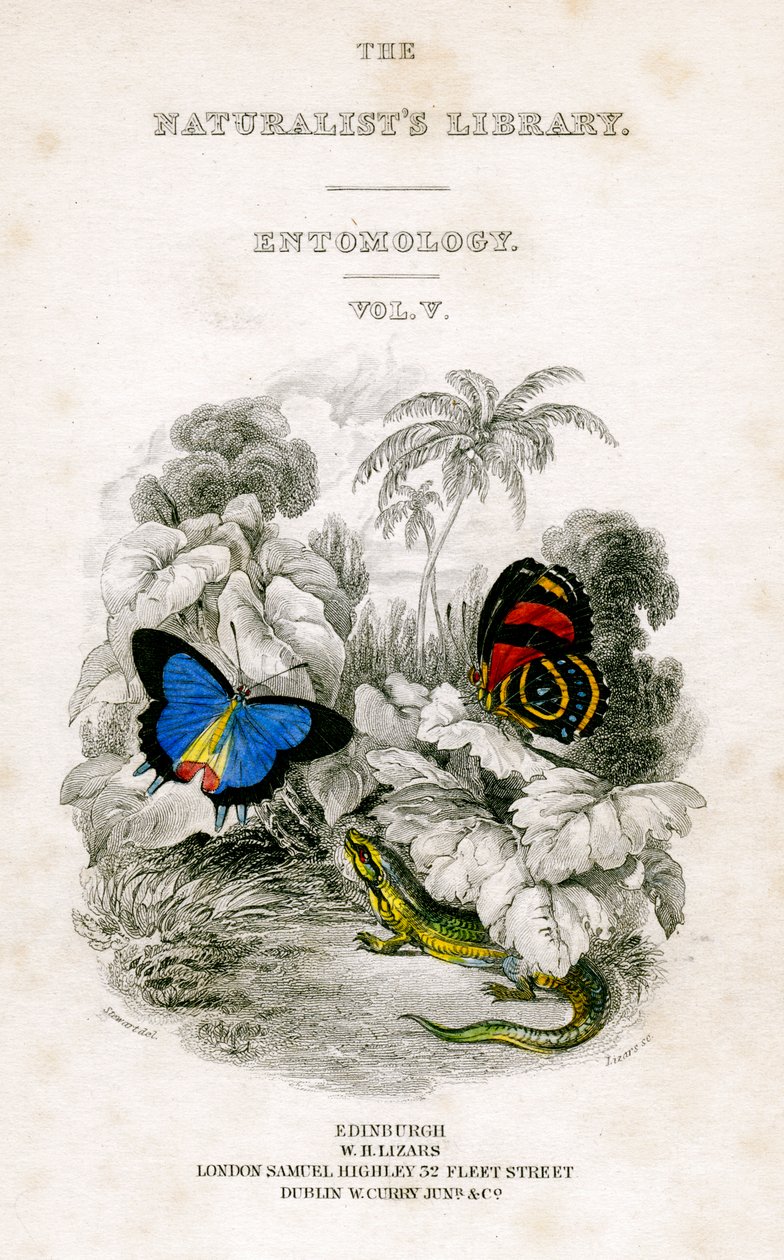 La Biblioteca de los Naturalistas, Entomología, Vol V, Mariposas, c1833-1865 de William Home Lizars