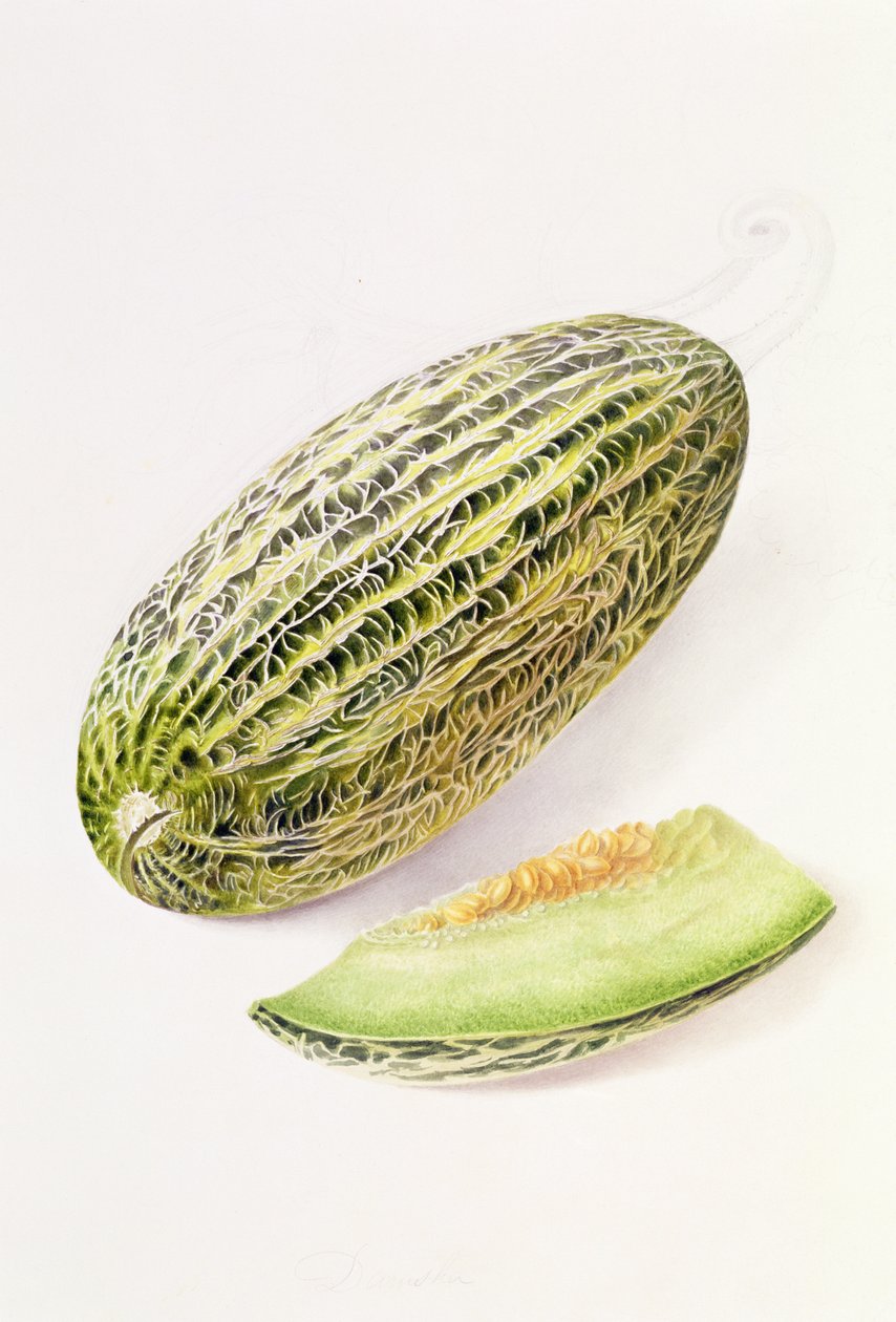 El Marrow Damsha de William Hooker