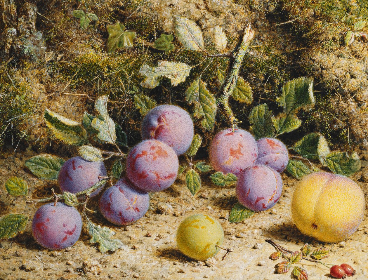 Naturaleza muerta con ciruelas, un melocotón y escaramujos de William Hough