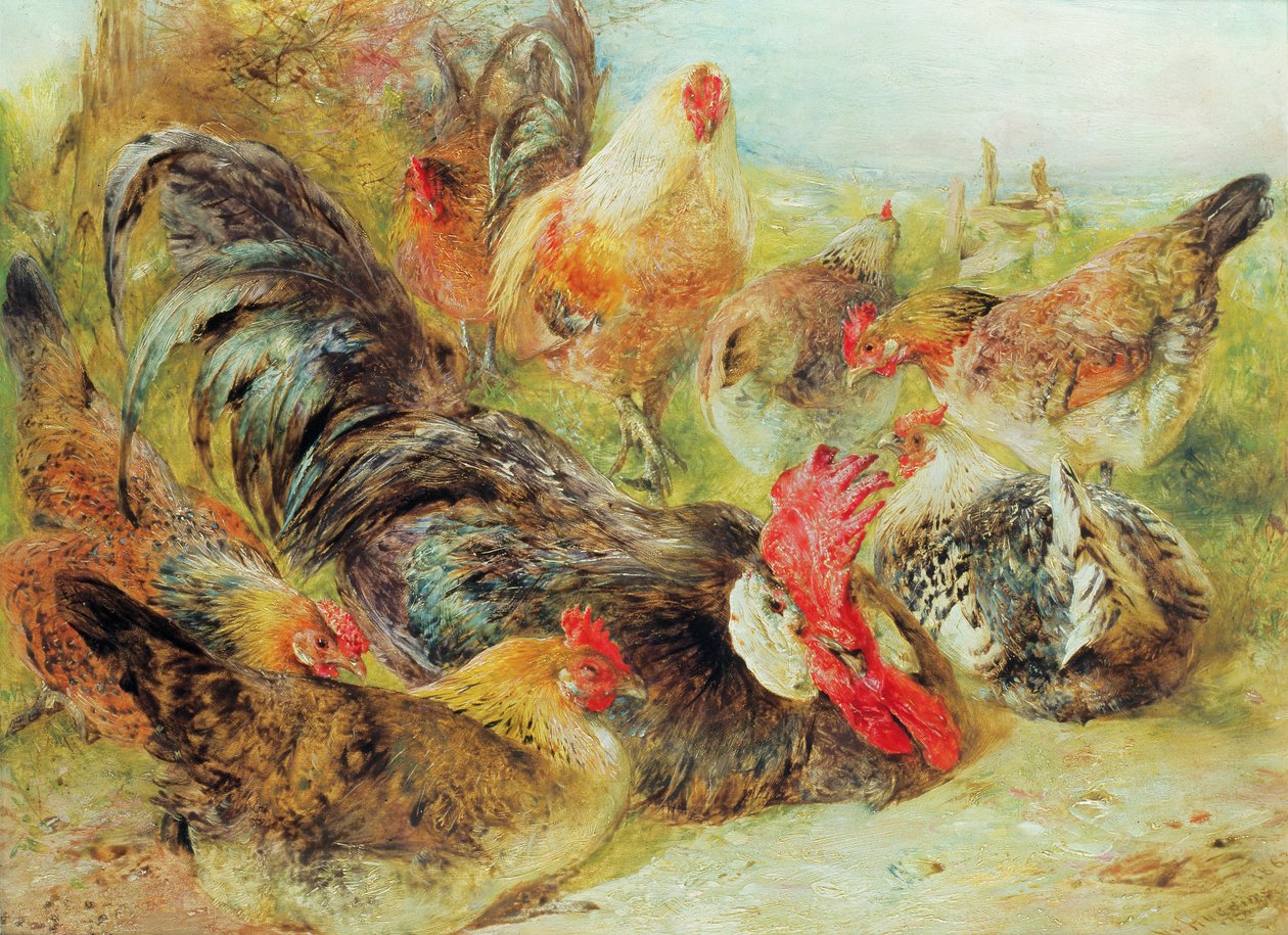 Aves de corral de William Huggins