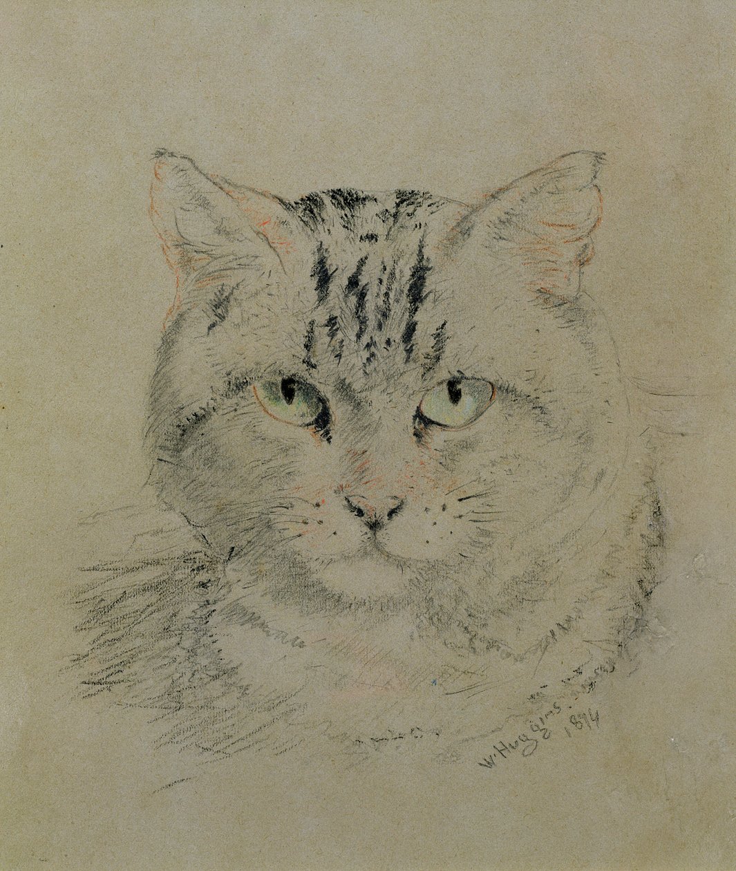 Gato atigrado, 1874 de William Huggins