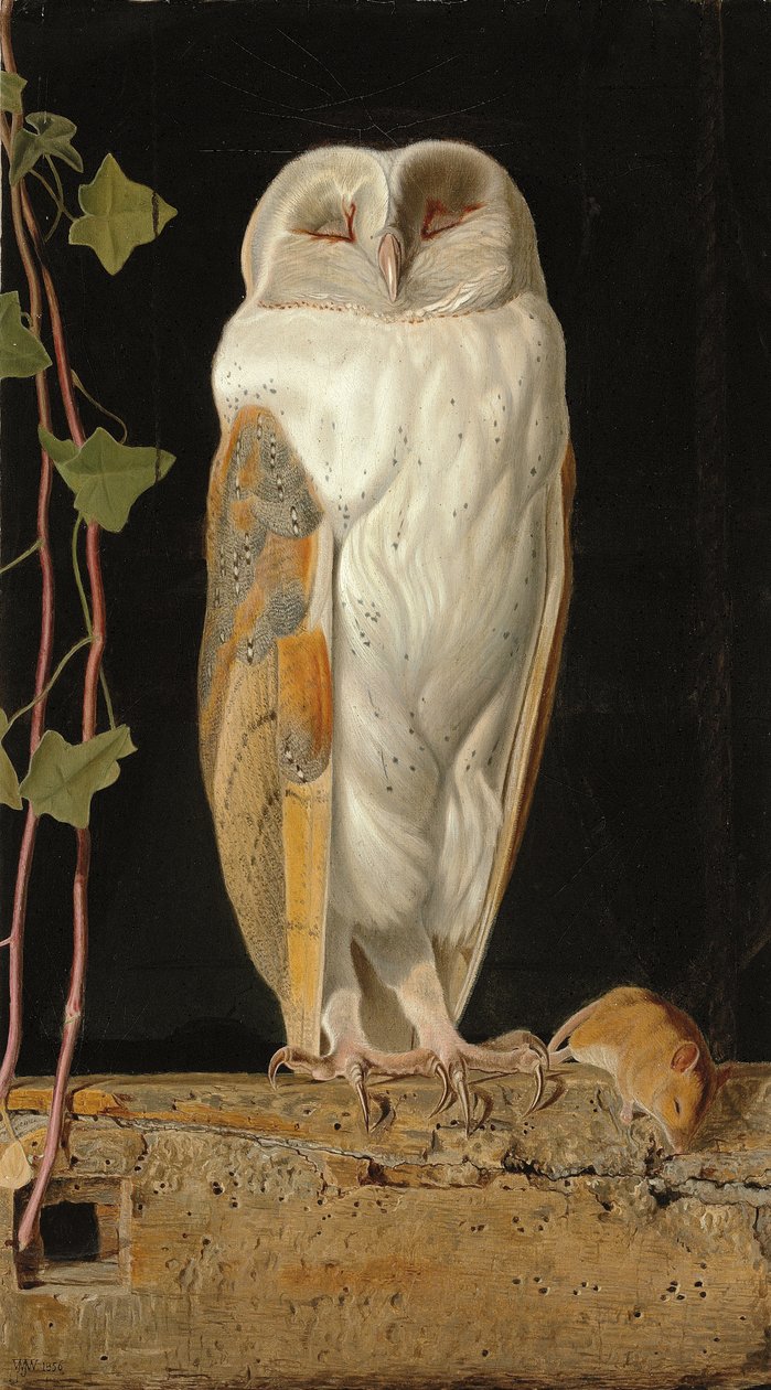 El búho blanco, 1856 de William J. Webbe