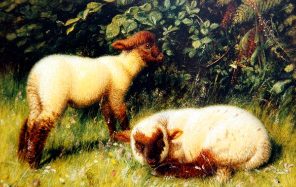 Ovejas, c.1860 de William J. Webbe or Webb