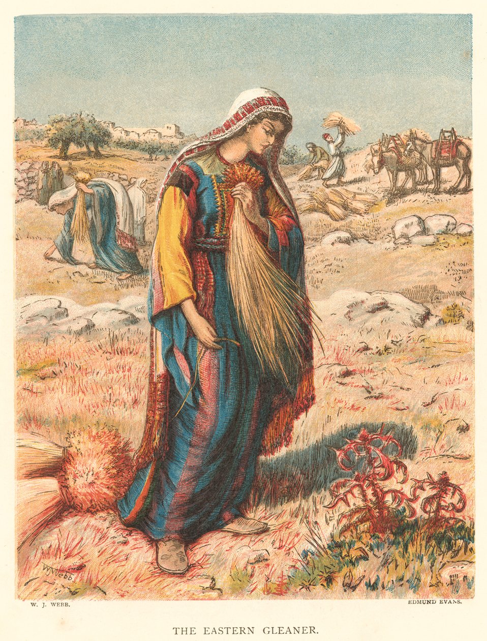 The Eastern Gleaner (grabado en color) de William J. Webbe or Webb