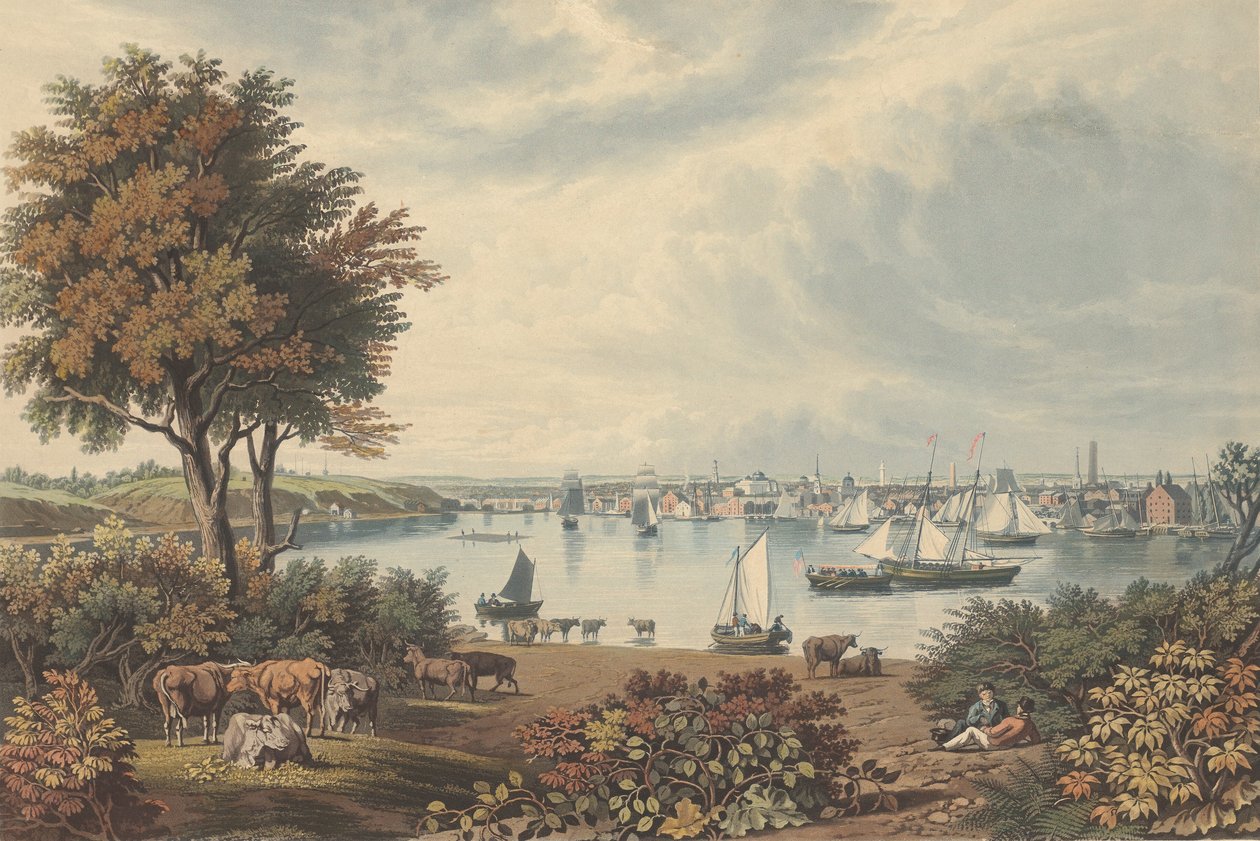 Baltimore tomado cerca de Whetstone Point de William James Bennett