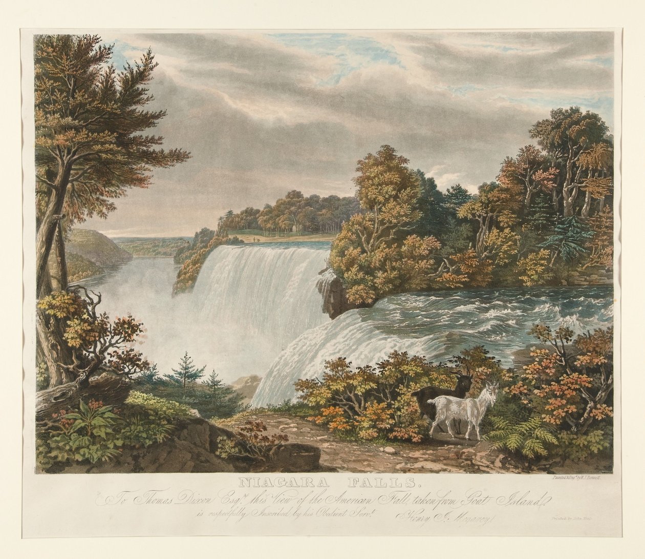 Cataratas del Niágara. A Thomas Dixon Esq. se dedica respetuosamente esta vista de la catarata americana, tomada desde Goat Island de William James Bennett