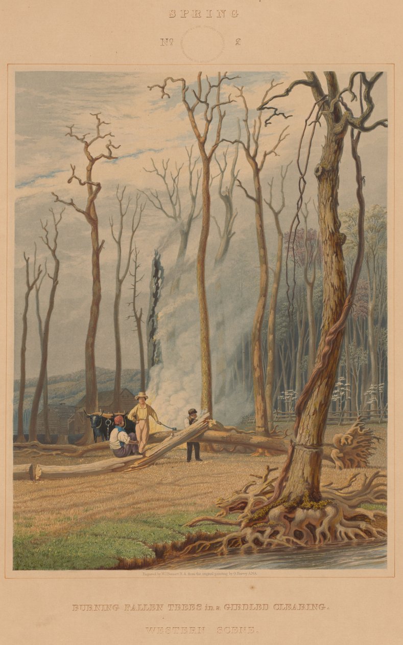 Primavera: Quemando Árboles Caídos en un Claro Despejado. Escena Occidental de William James Bennett after George Harvey