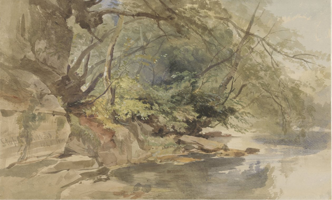 Vista en Stapleton Wood, cerca de Bristol de William James Muller