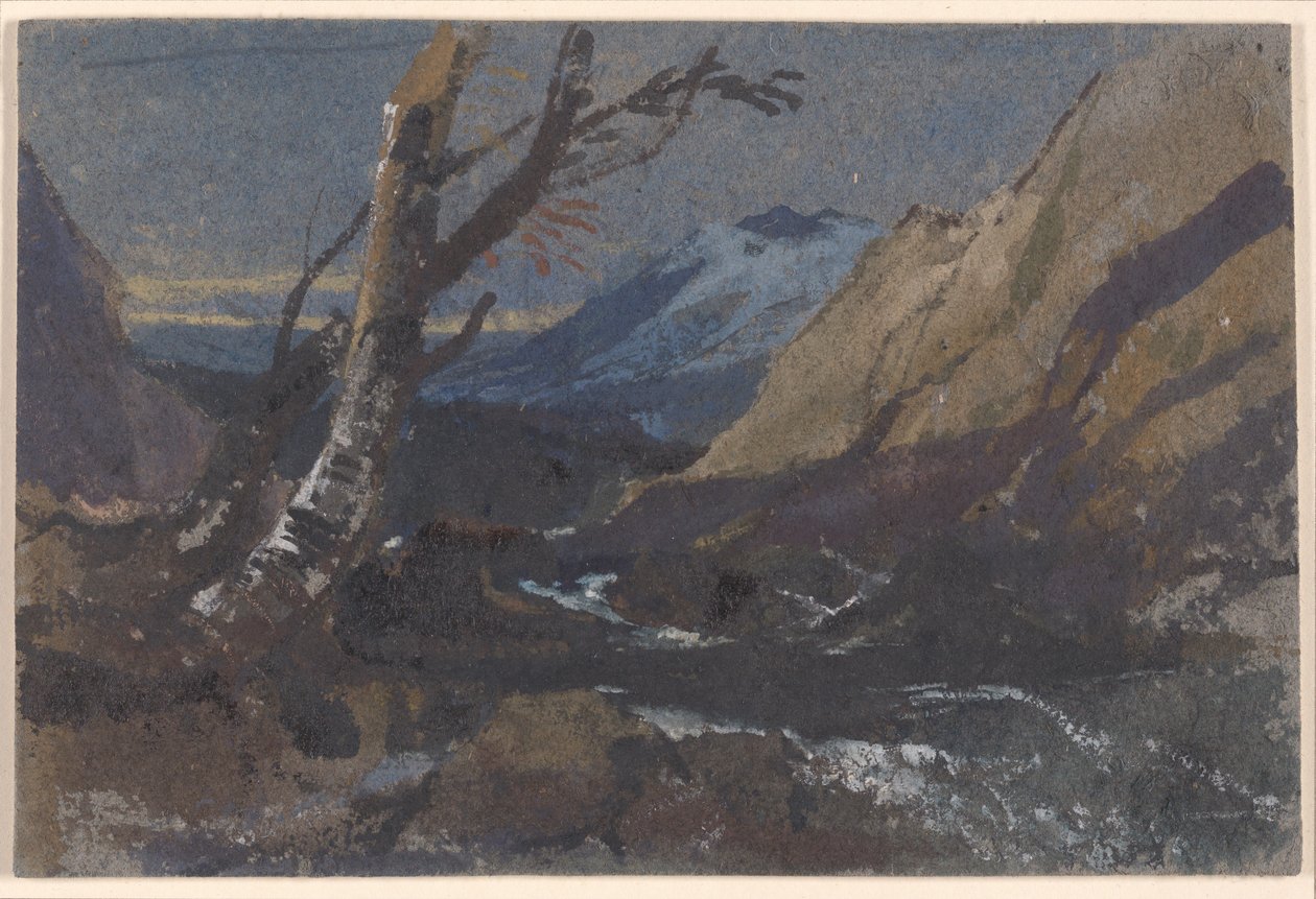 Estudio de árboles junto a un arroyo de montaña de William James Muller