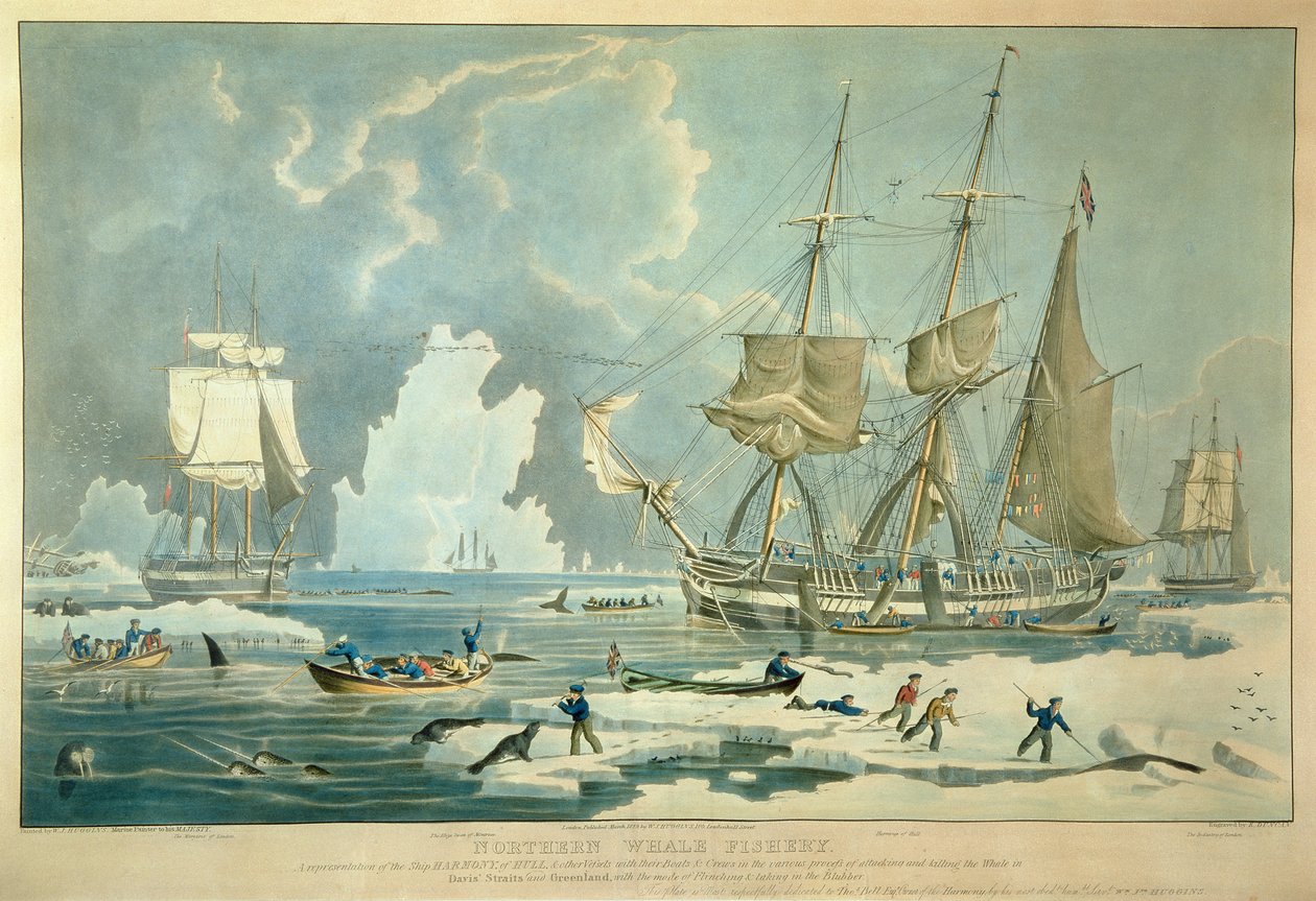 Northern Whale Fishery, grabado por E. Duncan de William John (after) Huggins