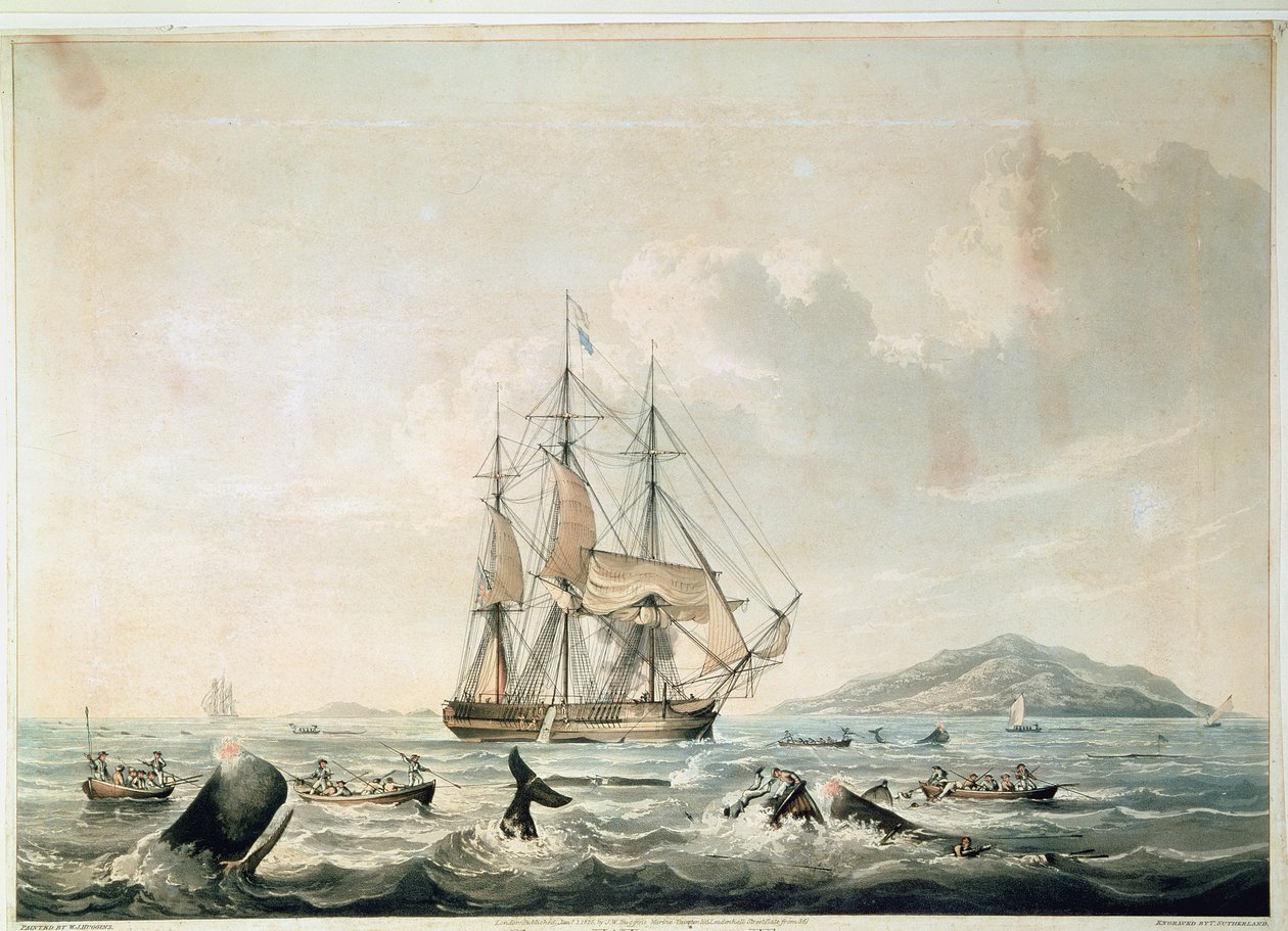 South Sea Whale Fishery, grabado por T. Sutherland de William John (after) Huggins