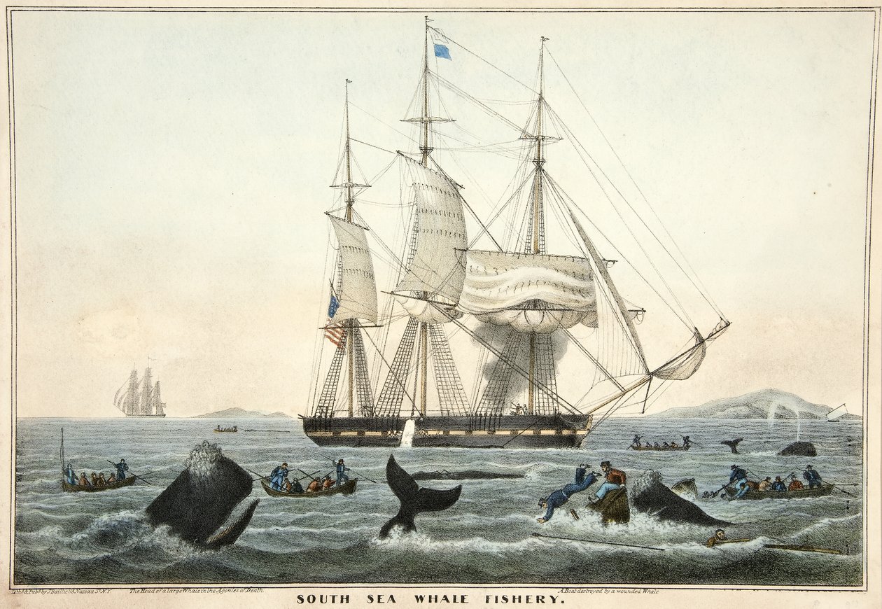 Pesquería de ballenas del Mar del Sur, pub. 1825 de William John Huggins