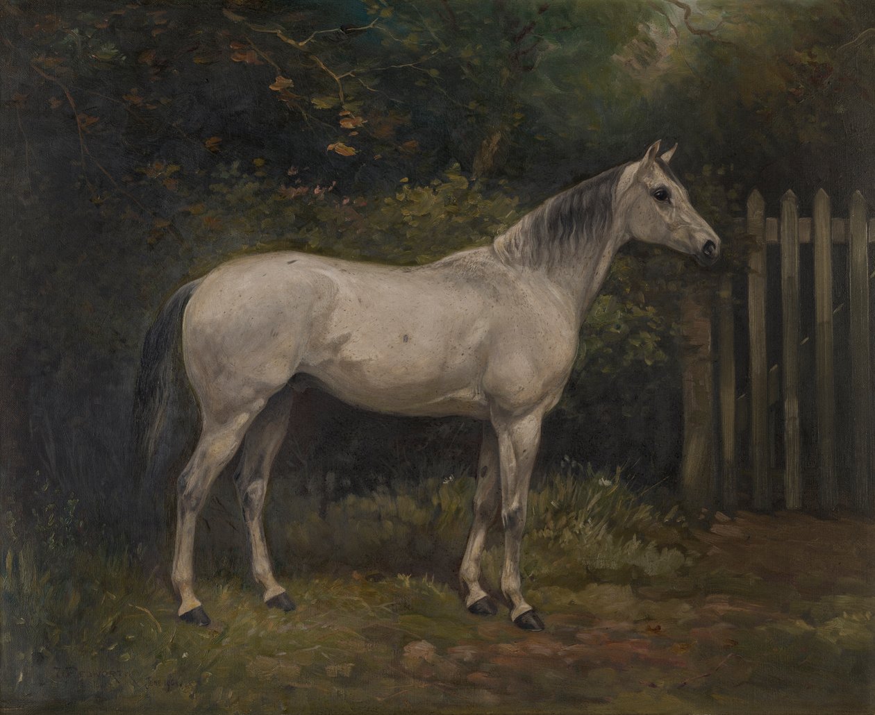 Pickles: un poni de Basuto, c.1904 (óleo sobre lienzo) de William Josiah Redworth
