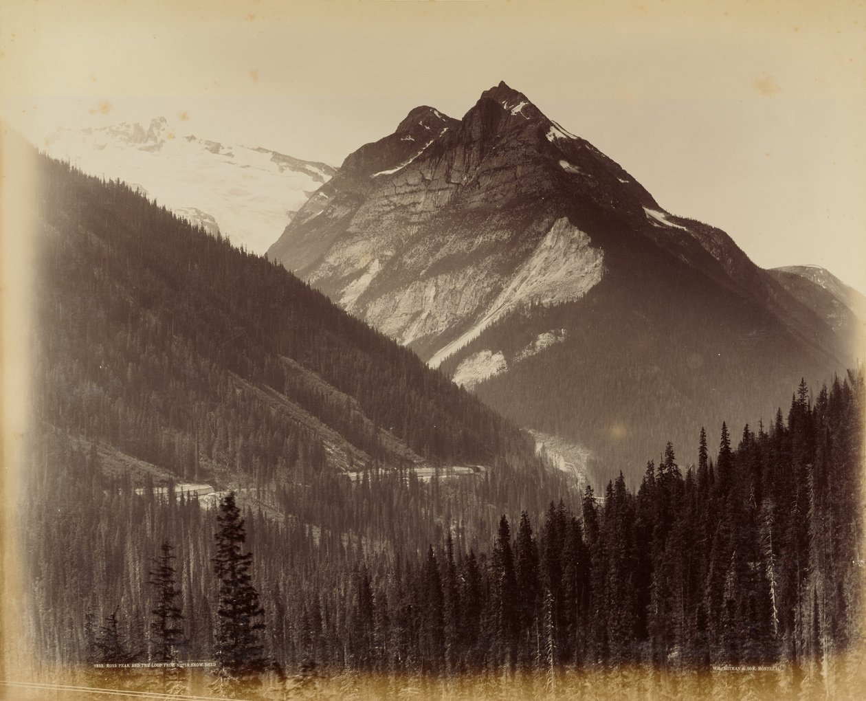 Ross Peak y el Loop desde el Refugio de Nieve nº 19 de William McFarlane Notman