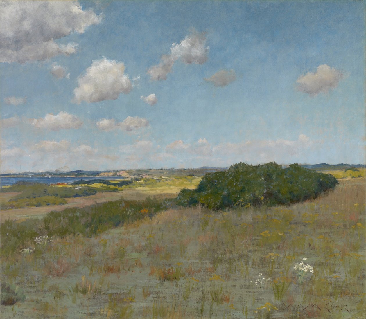 Luz del sol y sombra, Shinnecock Hills de William Merritt Chase
