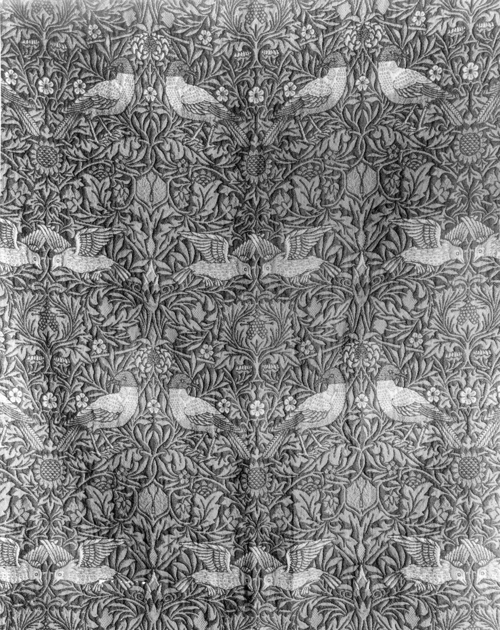 Diseño 