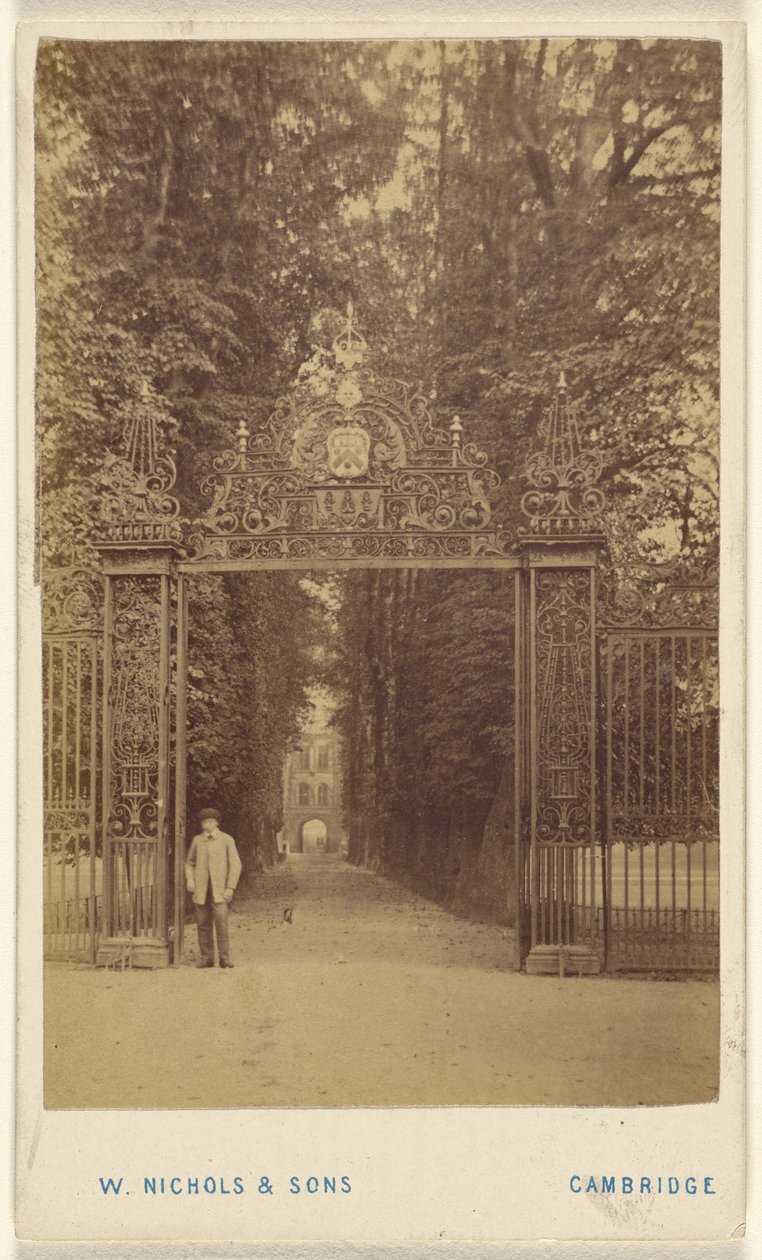 Avenida Trinity Cole de William Nichols and Sons