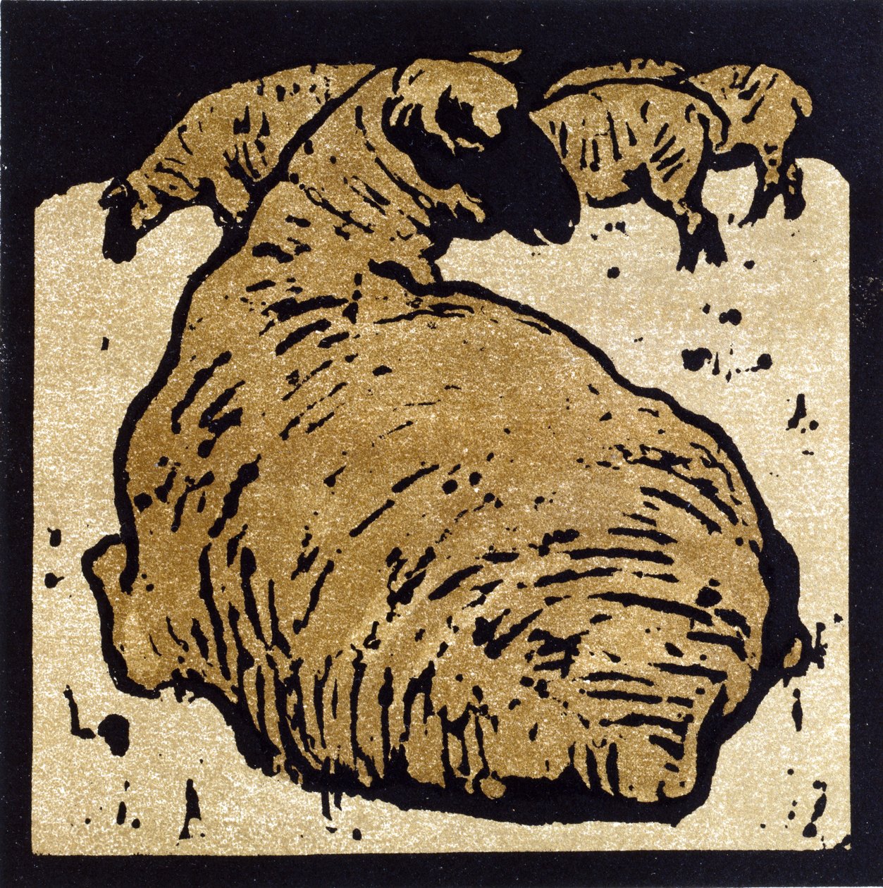 La oveja sencilla, ilustración de "The Square Book of Animals", publicado por William Heinemann de William Nicholson
