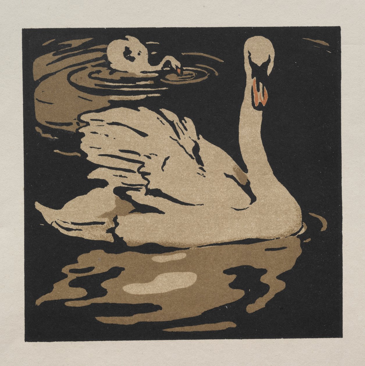 El libro cuadrado de los animales: El hermoso cisne de William Nicholson