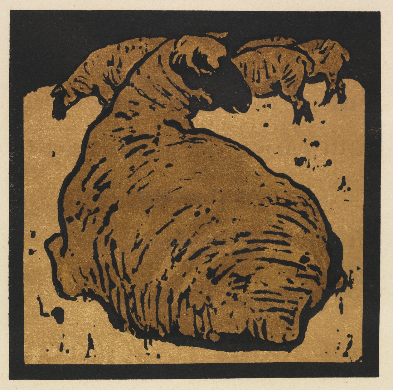 El libro cuadrado de los animales: La Oveja Simple de William Nicholson