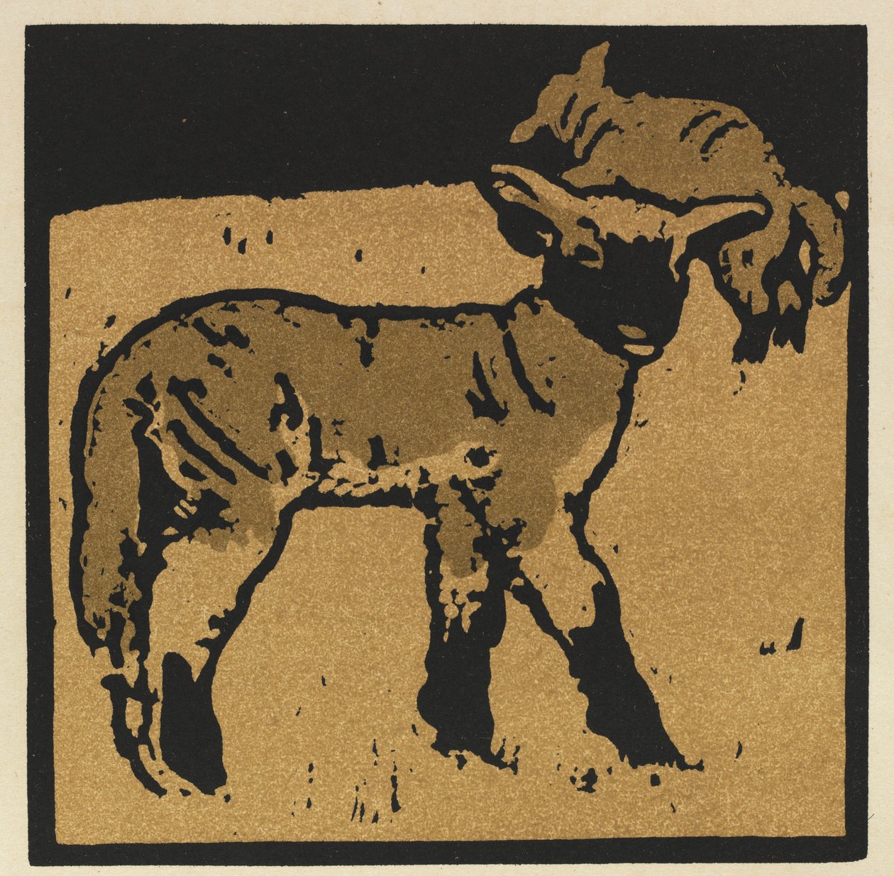 El libro cuadrado de los animales: el cordero muy manso de William Nicholson