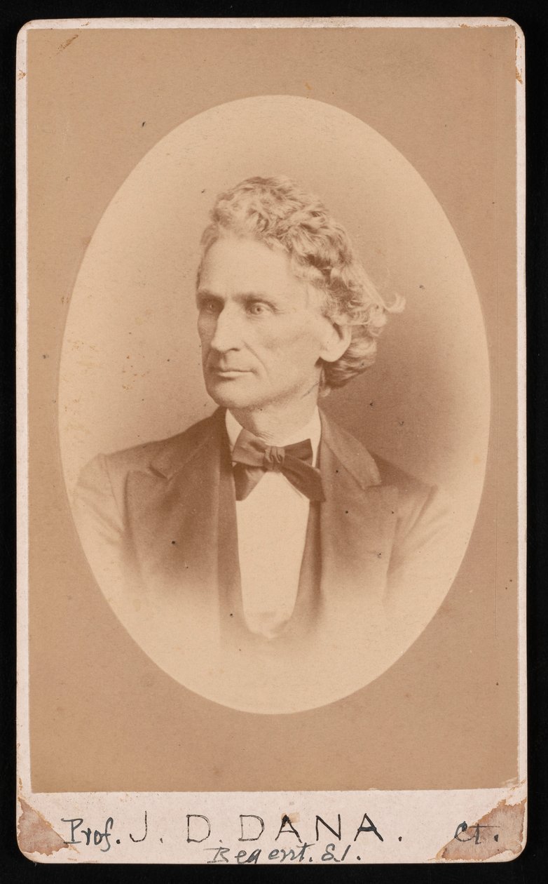 Retrato de James Dwight Dana 1813-1895, antes de 1891 de William Notman