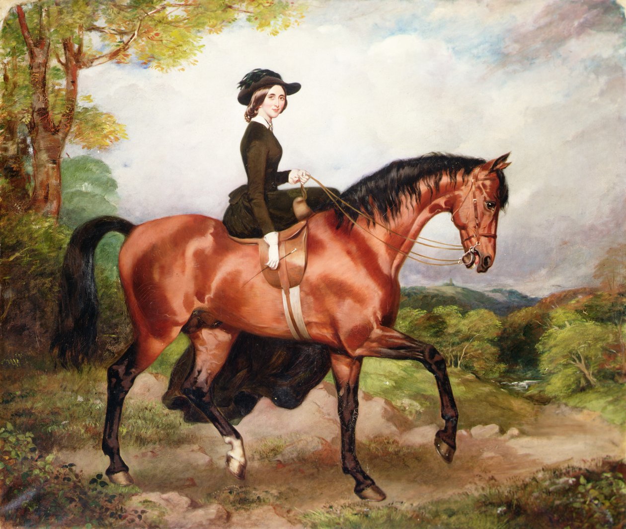 Retrato de Mrs Thomas Conolly of Castletown Co.Kildare (óleo sobre lienzo) de William Osbourne