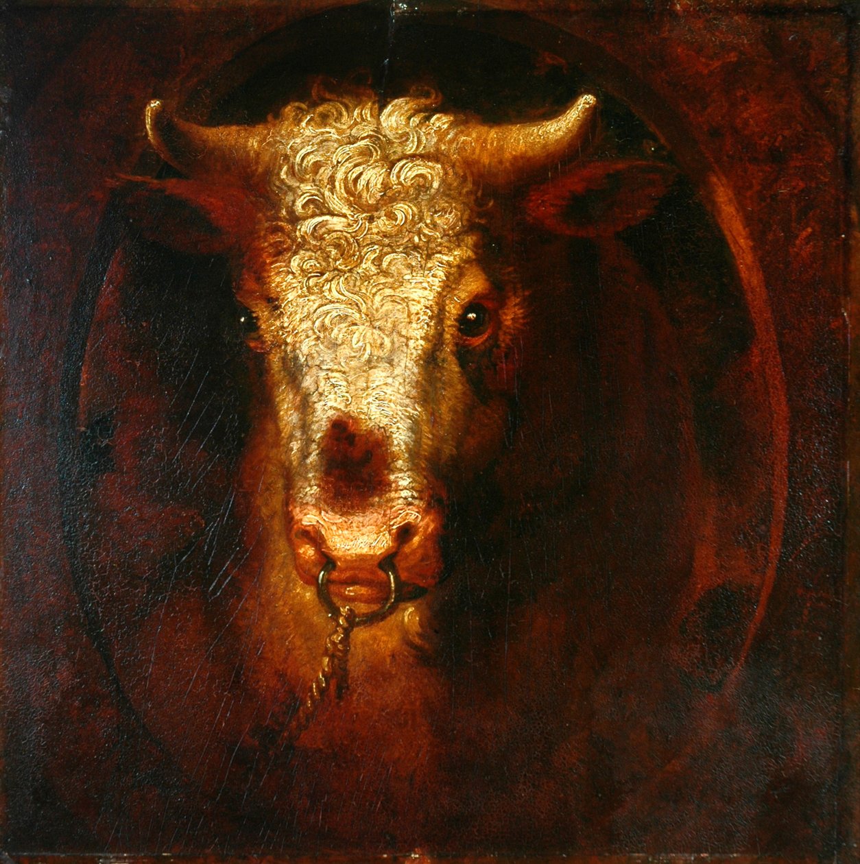 La cabeza del toro de William Overend Geller