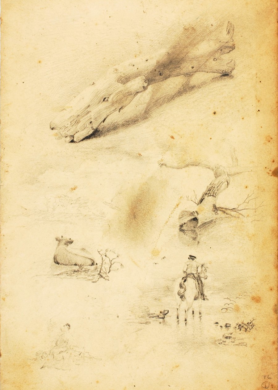 (Estudios--figuras, tronco, caballo y jinete, etc.) de William Page
