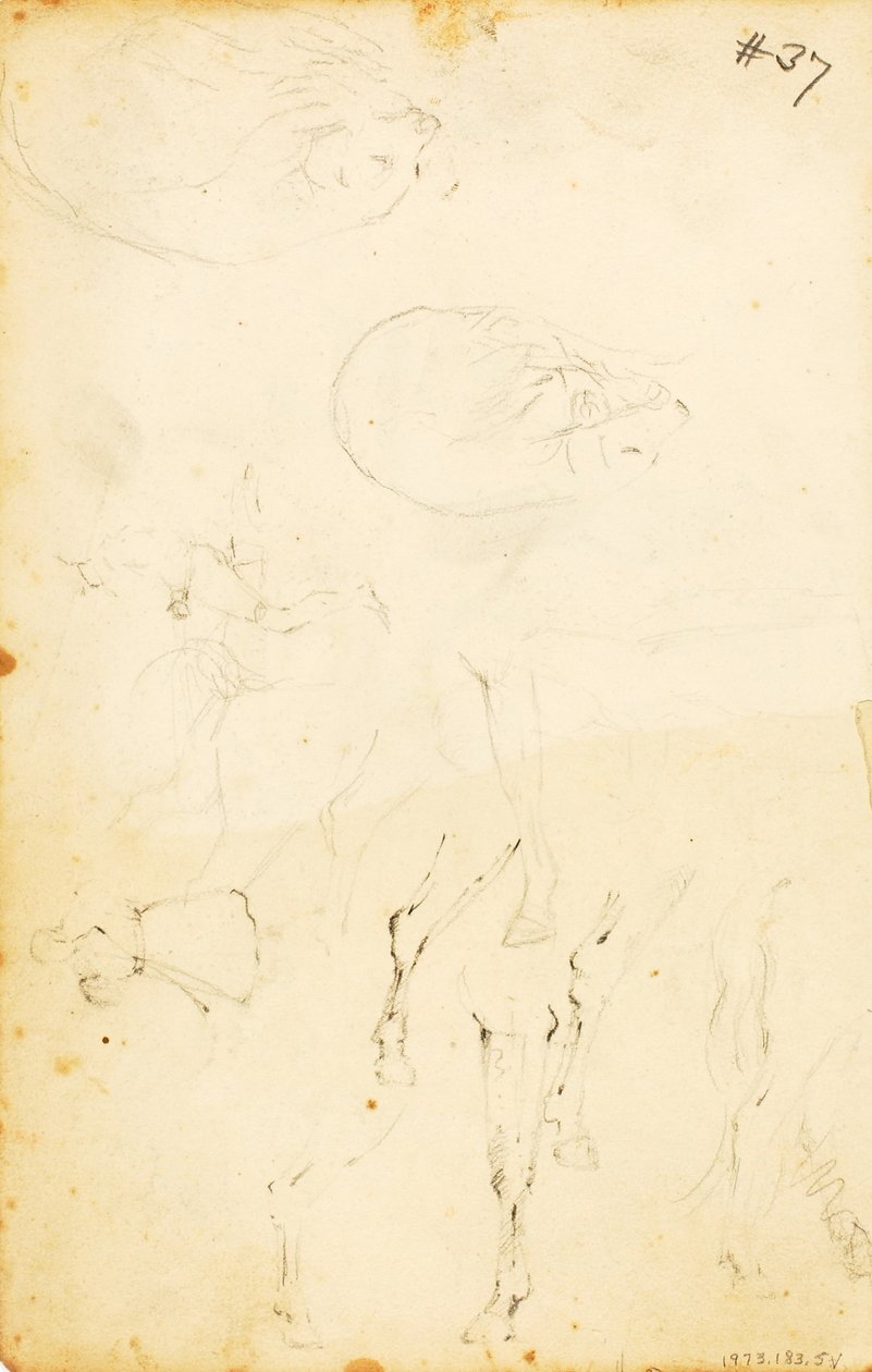 (Estudios--figuras, tronco, caballo y jinete, etc.) de William Page