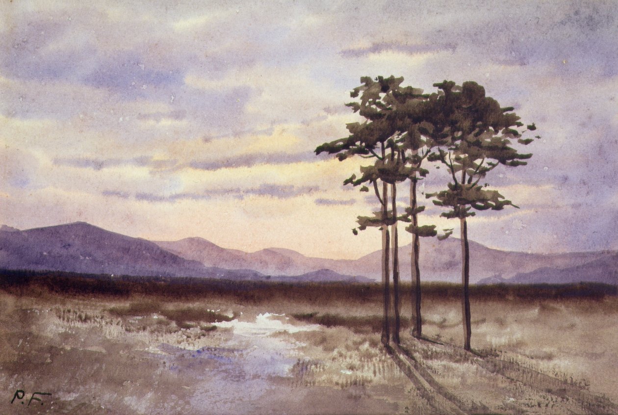 Atardecer, Condado de Sligo de William Percy French