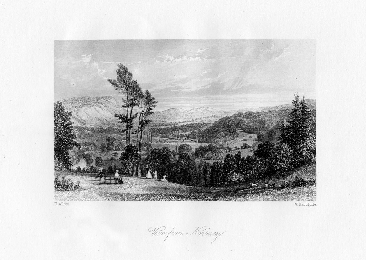 Una vista desde Norbury, Surrey, siglo XIX de William Radclyffe